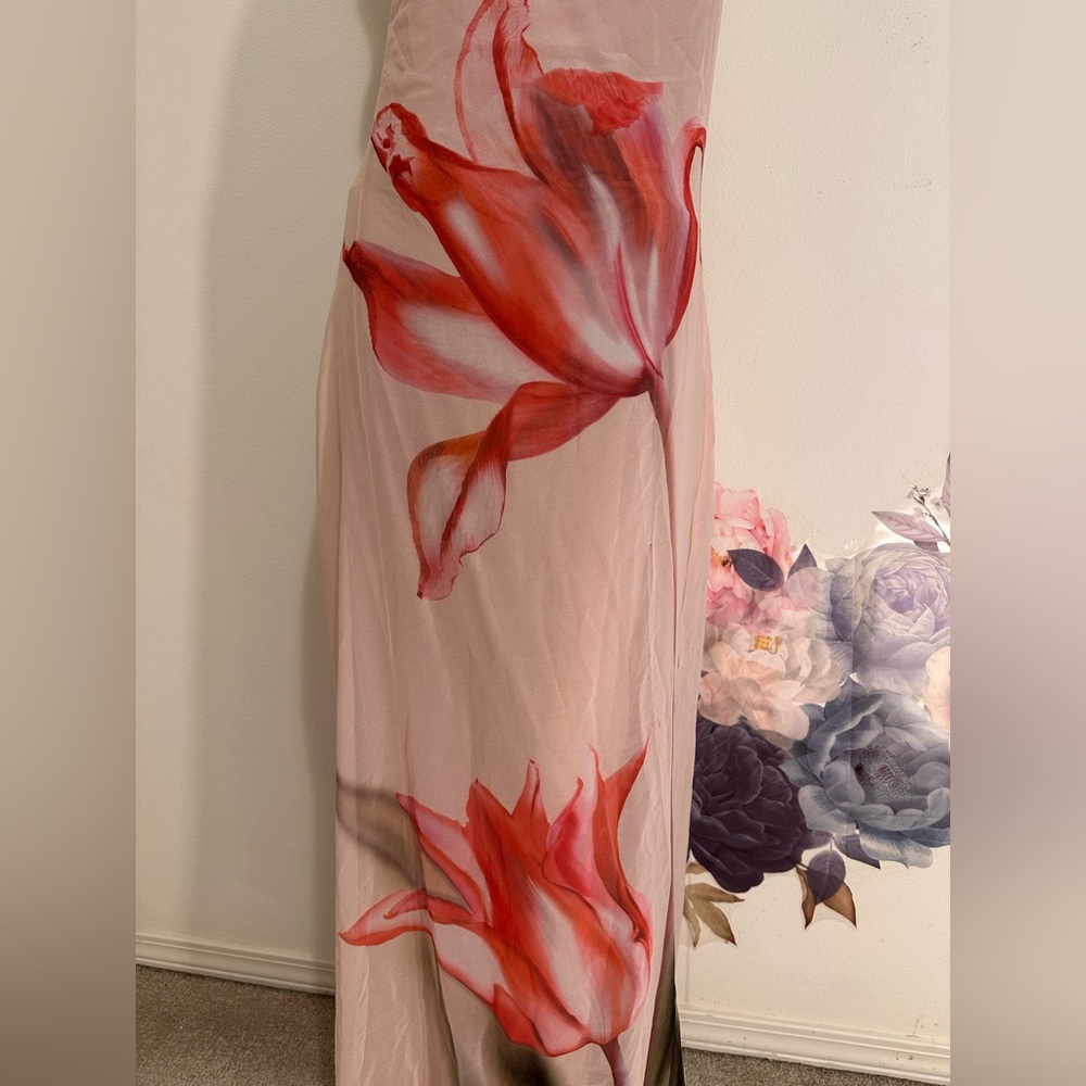Like new Musier Paris Avina Dress in Nude With Rose Print pink floral maxi - Picture 11 of 14